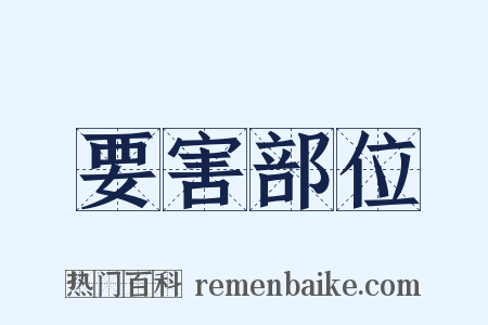 要害部位是什么意思的图片